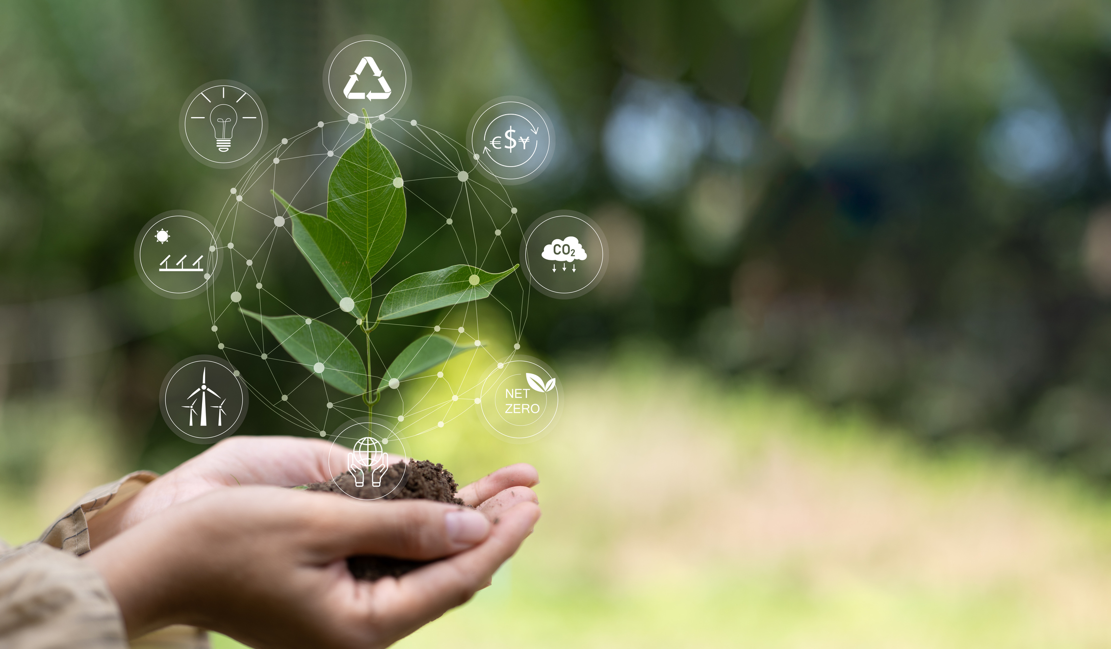 A person holds a small plant with soil. Overlaid graphics show environmental icons, including recycling, renewable energy, and net zero, representing sustainability concepts.