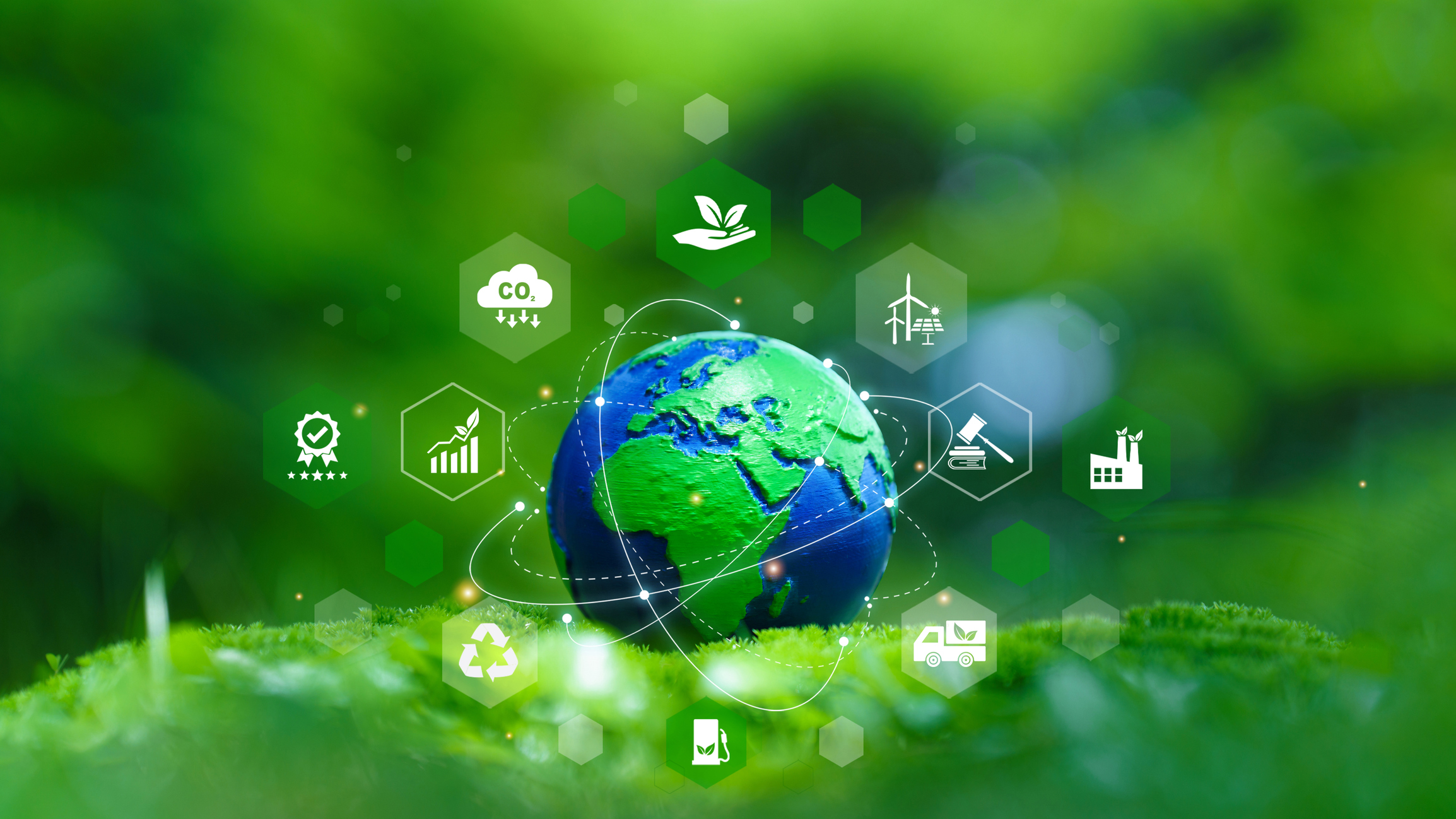 A globe rests on green moss with eco-friendly and sustainability icons surrounding it, representing concepts like renewable energy, recycling, and environmental protection.