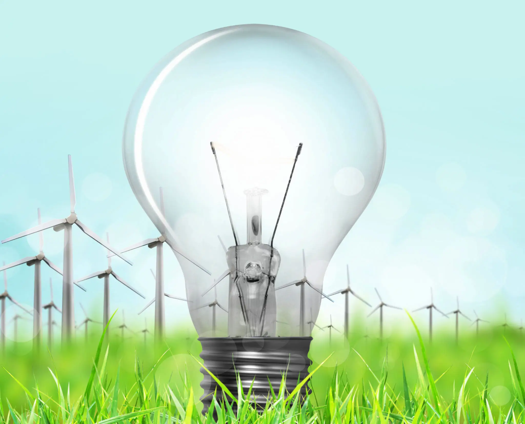 A large light bulb stands on green grass with multiple wind turbines in the background against a blue sky.